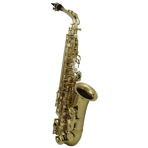 Roy Benson RBAS202 Eb Student Alto Saxophone